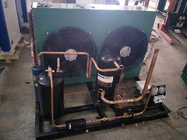 Unité de condensation facile d'entreposage au froid d'installation 380V/50Hz pour la chambre froide d'hôtel