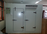 Panneaux d'isolation de stockage de nourriture de chambre froide de surgélateur de poissons/viande avec la porte coulissante