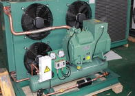Unité de condensation refroidie par air de réfrigération d&amp;#39;entreposage au froid avec le compresseur de 5HP