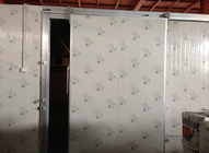 Type automatique épaisseur des portes coulissantes 100mm d'entreposage au froid pour la chambre froide/feuille simple