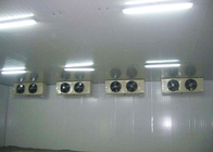 Panneau commercial de conservation frais d'unité centrale de refroidissement à l'air de pièce de congélateur avec de forte intensité